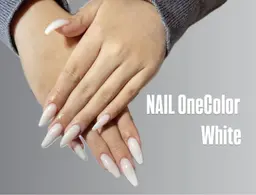 ワンカラー🤍/ラメグラ🩵