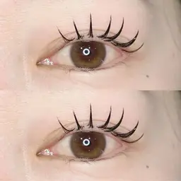 【🤎新導入キャンペーン価格🤎】ダブルフラットラッシュ80束(160本)