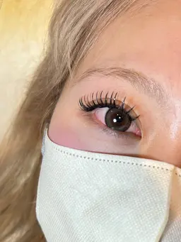 当日限定✨🌹LEDボリューム80束|CC/D10~15ミリ(オフ＋¥500)