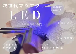 ミニモ限定🦋LEDエクステ100本🌟(L.LCカールあり)オフ込み❗️オフの有無ご連絡ください