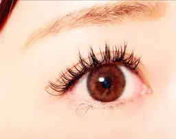 ボリュームラッシュ８０束