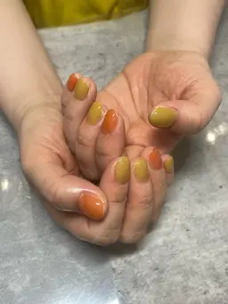 ワンカラー【オフあり】