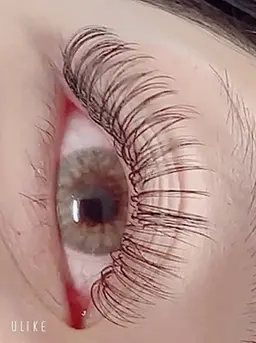 🧚‍♂️人気 👍束感🧚ボリュームラッシュ600本