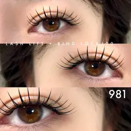 【当日限定】💛【 バインドロック100束 ➕コーティング 】