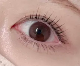 🌼[新規/エクステオフ無し] パリジェンヌラッシュリフト+マスカラパーマ