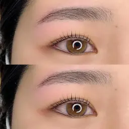 新規:ハリウッドブロウリフト ¥8,600