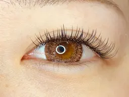 ボリュームラッシュ80束💖（オフなし）　　　　　　　　　　　　《3月10日限定》