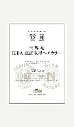 🌼オーガニックカラー