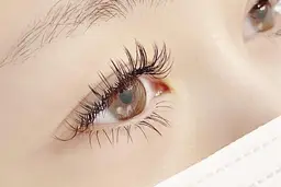 下まつ毛エクステ30本