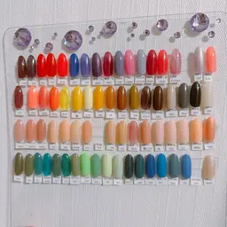 ワンカラー【特別価格】処分カラーのため激安にてご提供✩.*˚