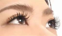 【バインドロック100束】120本ぐらいの仕上がりです★予約日は火曜、金曜日、土曜日のみとなります