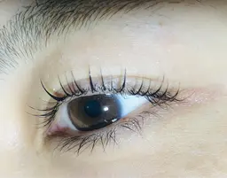 🌸ミニモ学割🧑‍🎓【通常まつげパーマ】※条件有り