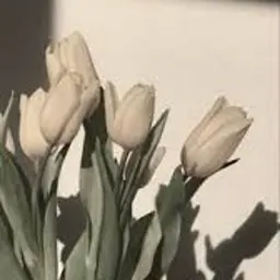 【上下まつげパーマ】🌷(パリジェンヌ変更＋500円)ケラチントリートメント仕上げ