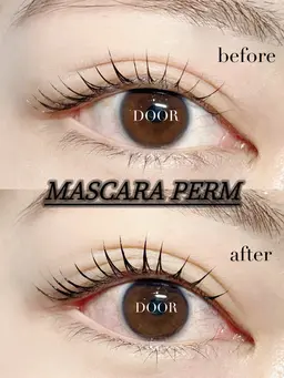 12月20.21日ご新規様限定マスカラパーマ[ブラックティント]+まつ毛パーマ+アイシャンプー+コーティング仕上げ