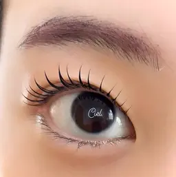 \ 韓国で話題 /  マスカラパーマ