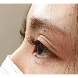 【平日限定】フラットラッシュ120本他店オフ込み