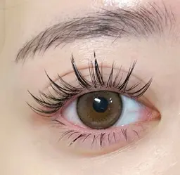 ワンホン風束感マツエク100本(オフ込み)