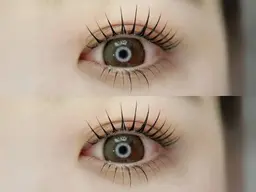 𝐄𝐲𝐞𝐥𝐚𝐬𝐡(まつ毛パーマ、パリジェンヌ)