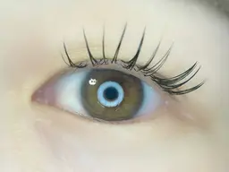 🟡フルカラーでもok🟡軽量・長持ちフラットラッシュ似合わせデザインマツエク120本