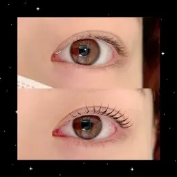 【新規】まつ毛パーマ上のみ