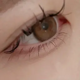 下エクステ20本˚.𝜗𝜚