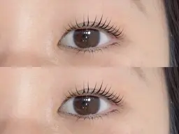 【期間限定】ケラチンラッシュリフト +2weekブラックコーティング+高濃度美容液(当店再来+¥500)