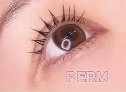 まつ毛パーマ　上下