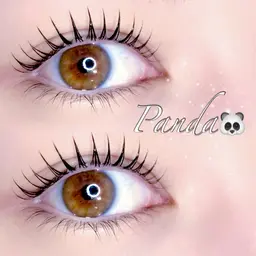 🫧パリジェンヌorまつげパーマ🫧