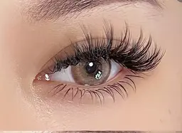 【新規オフ無料★持ち軽さ抜群】海外最新アメリカmixフン6D～ ボリュームラッシュ500本 ¥7980