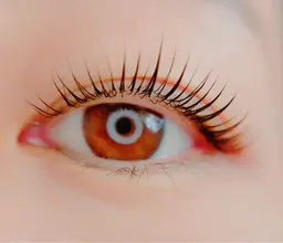 【ご新規様・選べるまつ毛パーマ】ラッシュリフト上のみ¥6600→¥5300