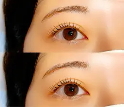 パリジェンヌラッシュリフト/似合わせラッシュリフト/上下