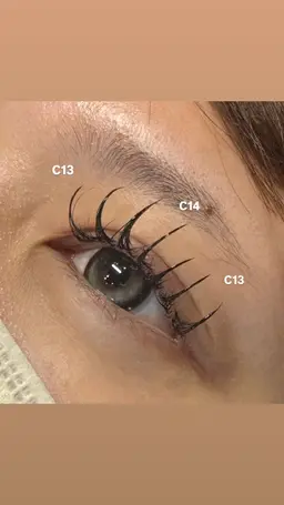 【練習モデル】 フラットラッシュ 100本