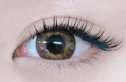 【リピーター様】フラットラッシュ 60本