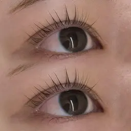 【人気No.1】ぱっちり垢抜け✨️パリジェンヌラッシュリフト✨️アイシャンプー付き🫧