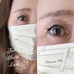 【オフなし】フラットマットラッシュ　120本