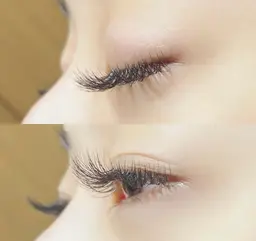 フラットラッシュ　付け放題