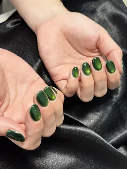 ハンドネイル💅ワンカーラマグネット2100(オフ❎ありません)