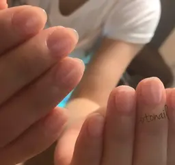 クリアのみ(当店off込み)