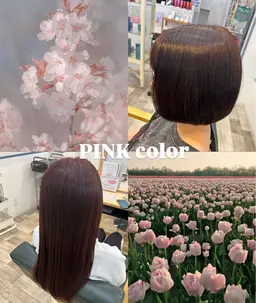 ベーシックカラー