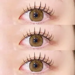 Jrクーポン💐フラットラッシュ100本/まつエク