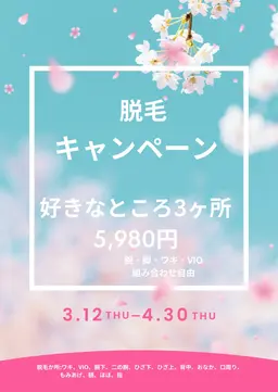 お好きなところ3か所脱毛