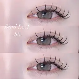 当日限定🪩バインドロック80束🪩