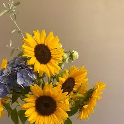 スカルプ・長さだしオフ