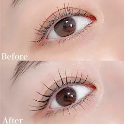 韓国式まつげパーマ（上下）