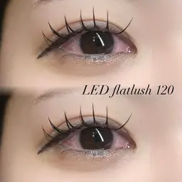 【練習モデル】💡LEDフラットラッシュ💡100本or 120本 🎀