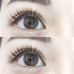 💜‪パリジェンヌorラッシュリフト💜‪ (立ち上げ重視の方)