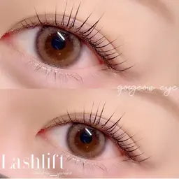 12月限定❣️ラッシュリフトorパリジェンヌ