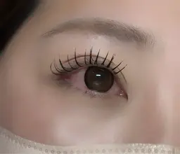 期間限定【オフなし】バインドロック60束モニターモデル