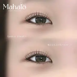 ラッシュリフト🪄