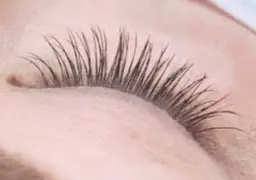 フラットラッシュ１２０本/+¥500でLEDへ変更